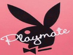 Playmate